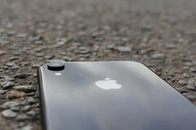 Casino Jungle Raja Aip Soghluaiste